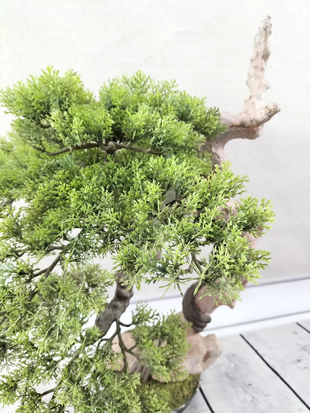 Faux Small Tree - High Simulation Thuja Bonsai 60cm