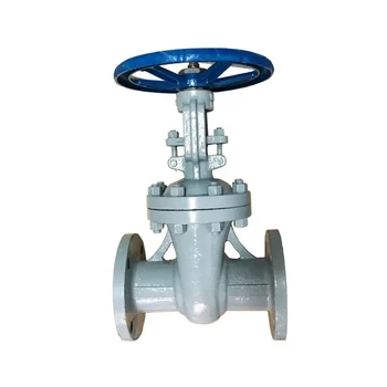 High-Performance 2 Inch API ANSI 150LB  PN10 PN16  Manual Worm Gear Electric Options Flange Gate Valve