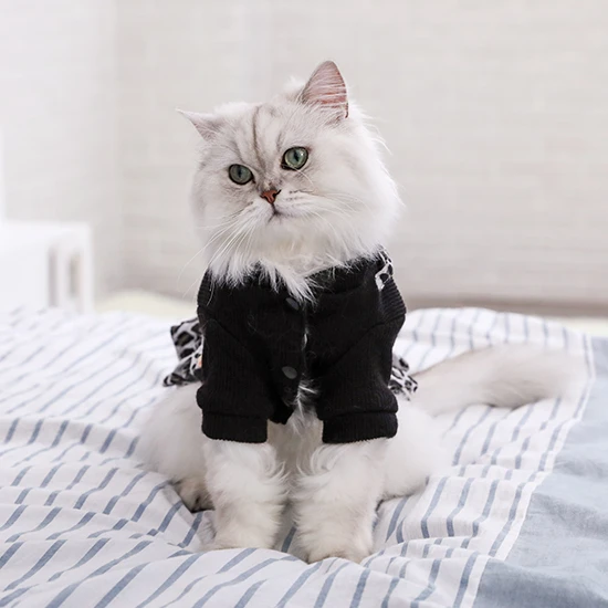 persian cat dress