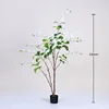White weeping jasmine potted plant, 150cm