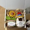 Christmas Blue Hat Pacchio Gift Box