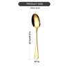 Dinner Spoon
