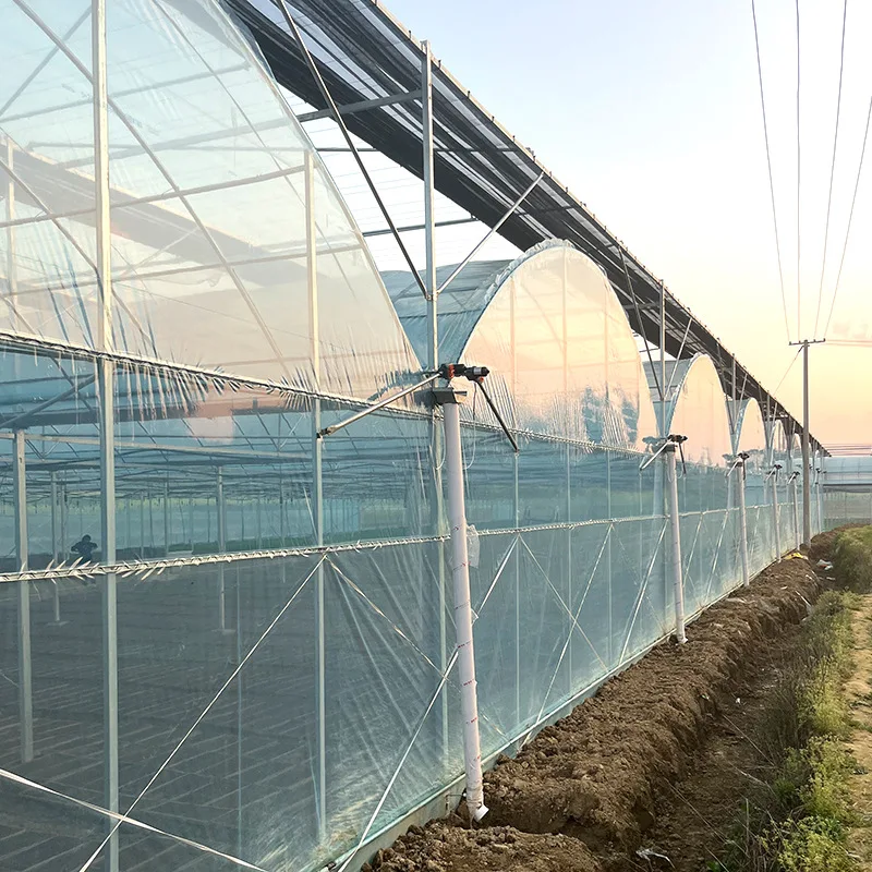 High Quality Galvanized Structure Plastic Tunnel House China Single Span Low Tunnel Greenhouse For Sale