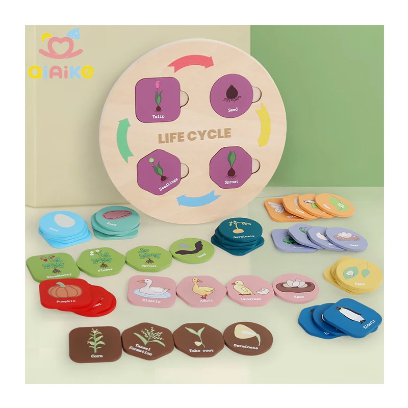 Life Cycle Toys 12 Tema Montessori Preschool Science Center Materials Mainan Kayu Edukatif dan Pembelajaran untuk Anak