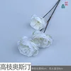 Takagi Austin XRX Blanco
