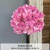 Endless Summer - Rose Red
