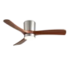 Brown+silvery