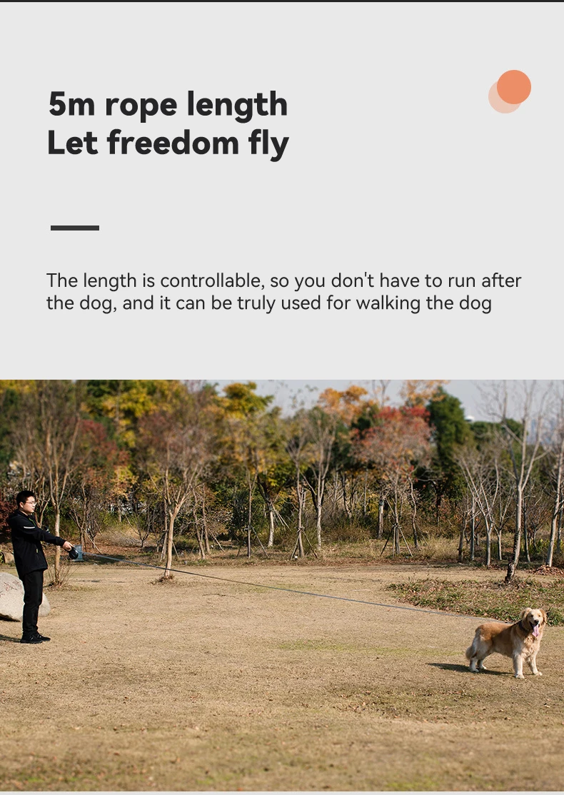 5 Meters Long Leash Walking Dog Rope Out Automatic Retractable Large Dog Anti-blast Dog Chain factory