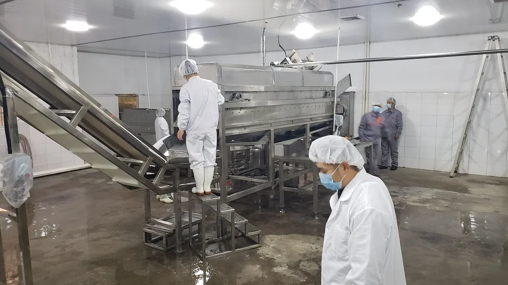 Best Price Orange Citrus Concentrate Processing Production Line Lemon Plant Juice Machine Manufacturer