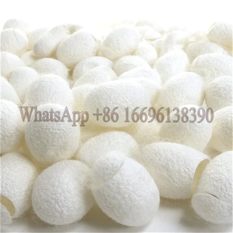 Innovative Silkworm Cocoon Opening Machine Silk Cooking Barrel Silkworm Cocoon Reeling Machine with Lowest Price