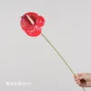 Red (60cm)