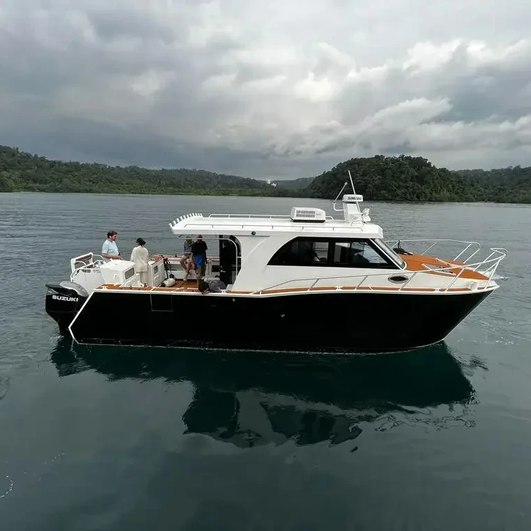 18 ft  32ft Sport Aluminium Catamaran Fishing Boats 45ft Luxury Yacht Boat