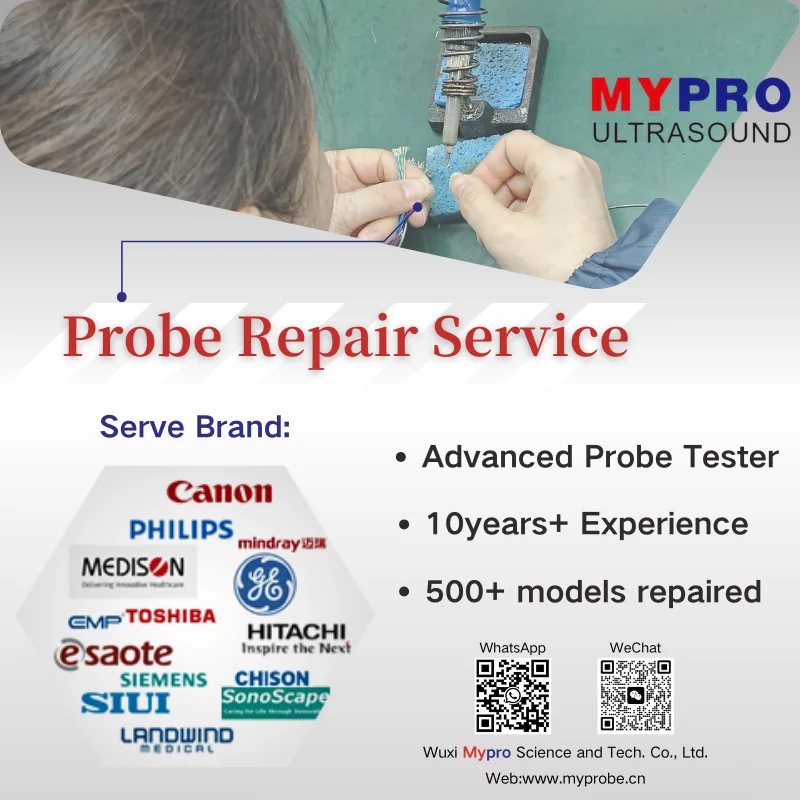 Compatible Phased Array Ultrasound Probe GE 3Sc-RS Logiq V3 Logiq P7 Voluson S6 Voluson S8