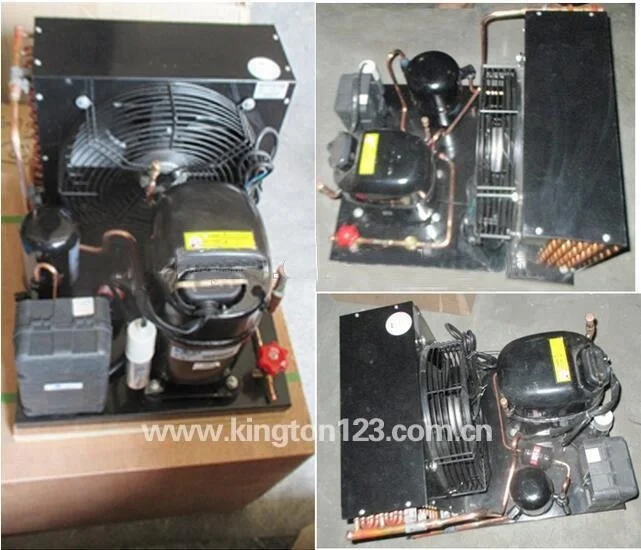 5hp Tecumseh Compressor Condensing Unit Special for Rearing Pond TAG4561
