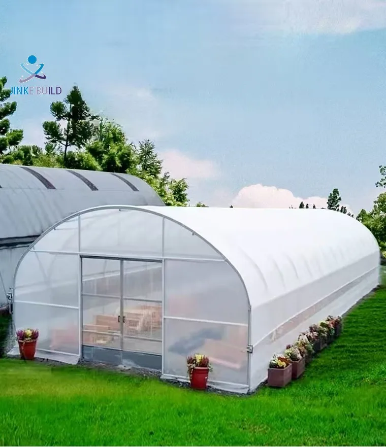 Serre Agricole Durable de Grande Taille à Coût Réduit en Matériau PE pour l'Agriculture Commerciale et domestique avec Tunnel Haut & Cadre Froid