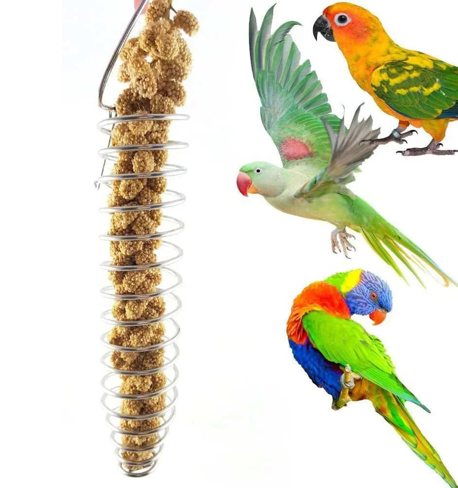 parrot food toys