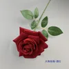 Grande Rose à Cornes - Rouge Vin