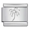 ICY456 silver