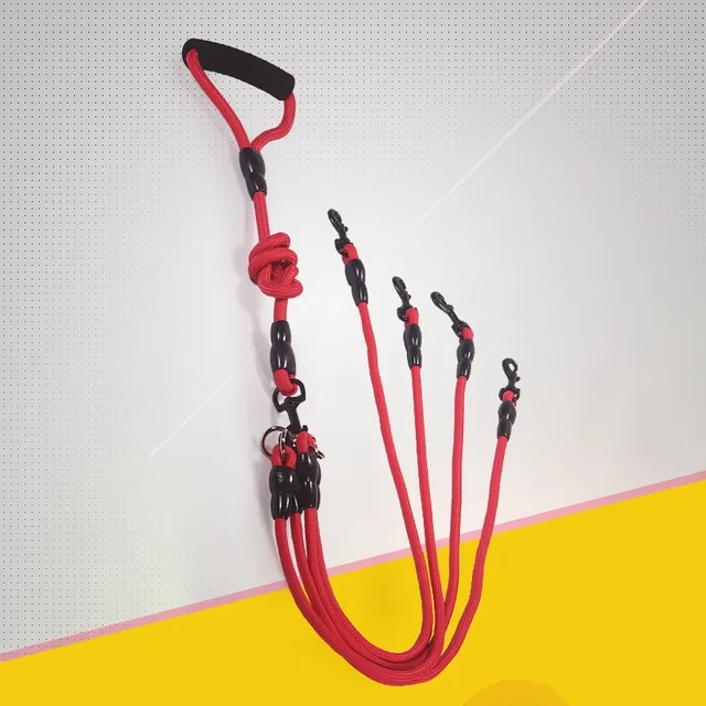 Cross-border hot dog leash Multi-head dog chain double-head dog leash can be detachable one tow two pet leash
