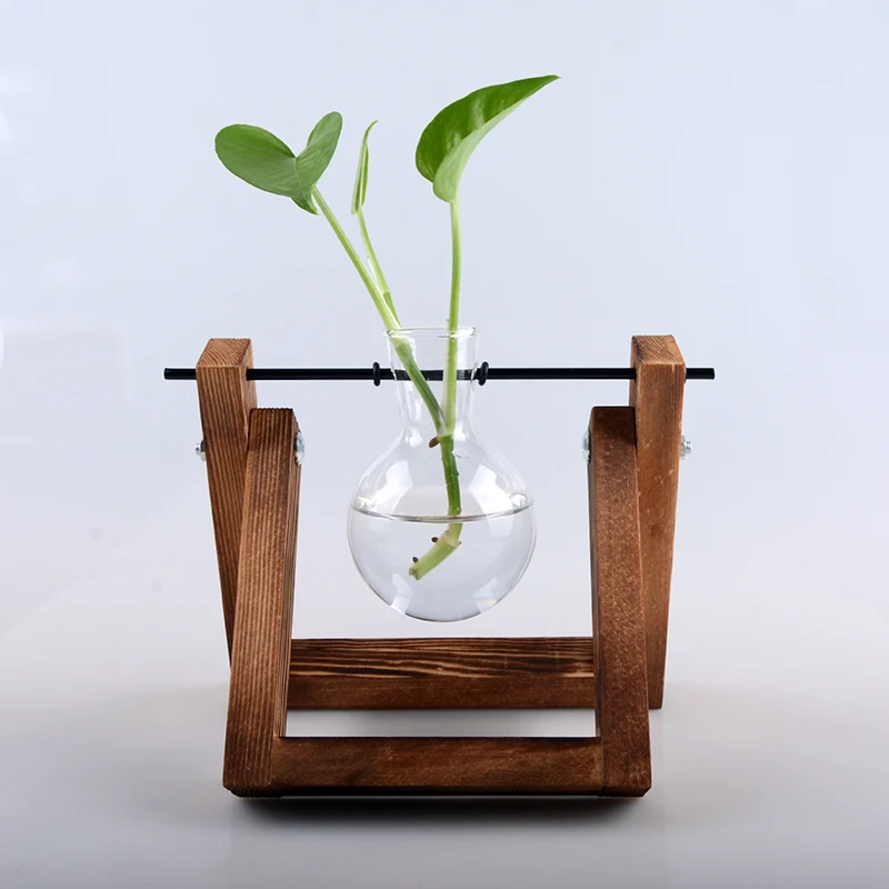 small creative hydroponic plant transparent glass vase wooden