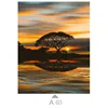 Multicolor-A03