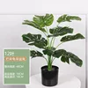 48CM turtle shell with 12 leaves