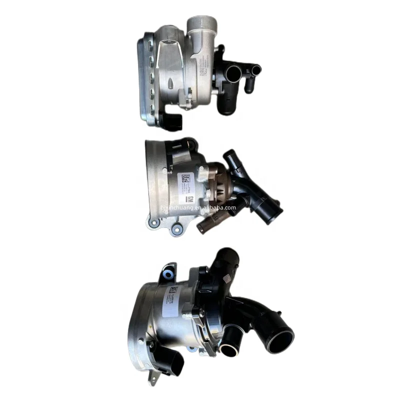 Automotive Parts Water Pump Assembly OEM 12701699 for Chevrolet