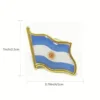 Argentina flag brooch