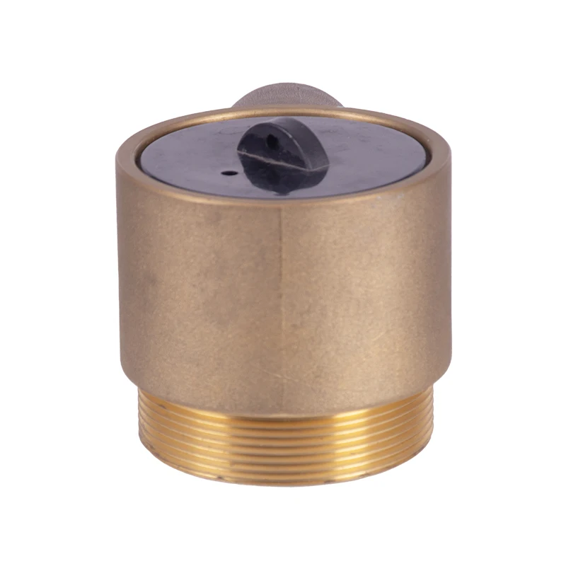 Brass Plug& Chain details