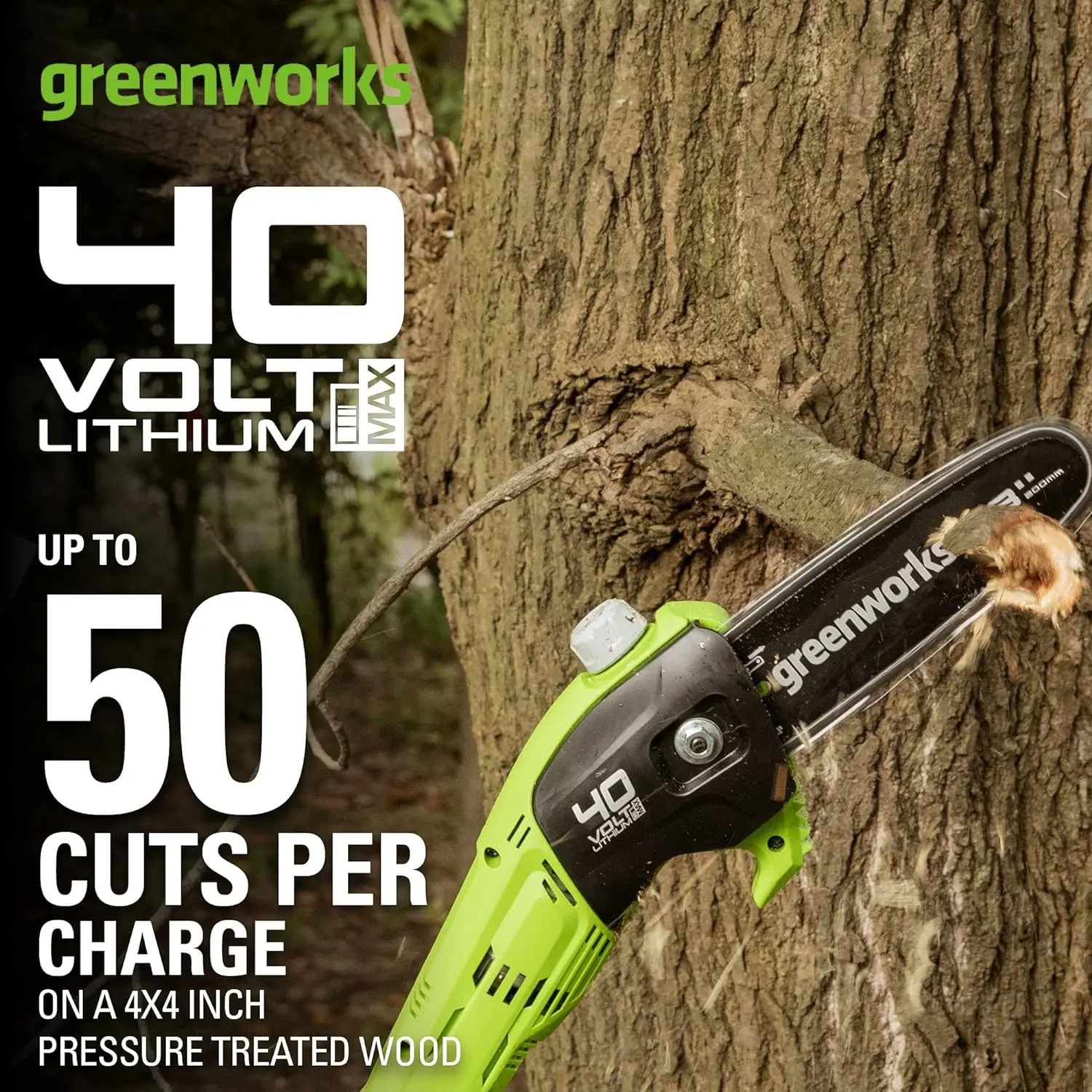Greenworks 40V 8 Inch Cordless Pole Saw Tool Only, China Greenworks 40V
