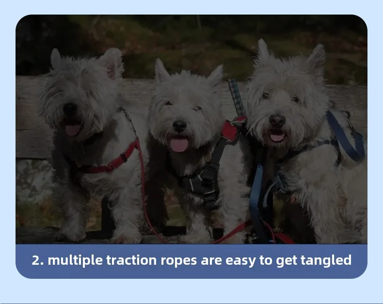 Double-Headed Reflective Eco-friendly Nylon Dog Walking Leash Solid One-to-Two Strap with Ribbon Decoration for Large Breed Dogs