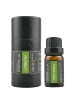 Verbena