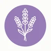 Lavanda