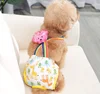 Yellow Giraffe