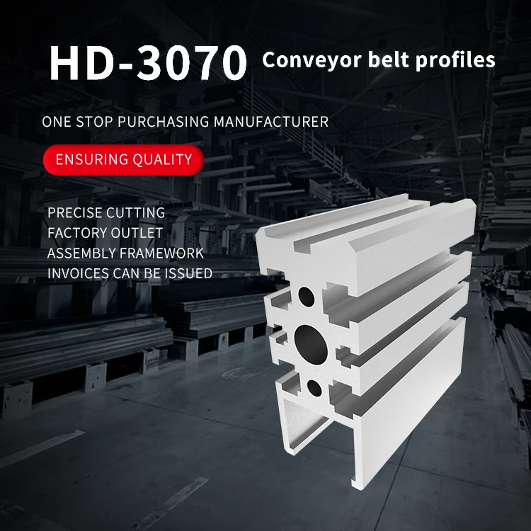 3070 Industrial Aluminum Alloy Profile Plastic Chain Conveyor Profile Production Line Conveyor Beam supplier