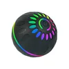 Intelligent Colorful Dog Ball [Black] 6.5cm in diameter