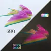 Colorful luminous swallow 15cm
