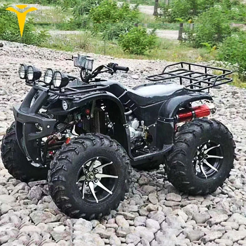 500cc Sport 125cc мотоциклетные квадроциклы 250cc 4x4 Atv для продажи