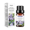 Violette-