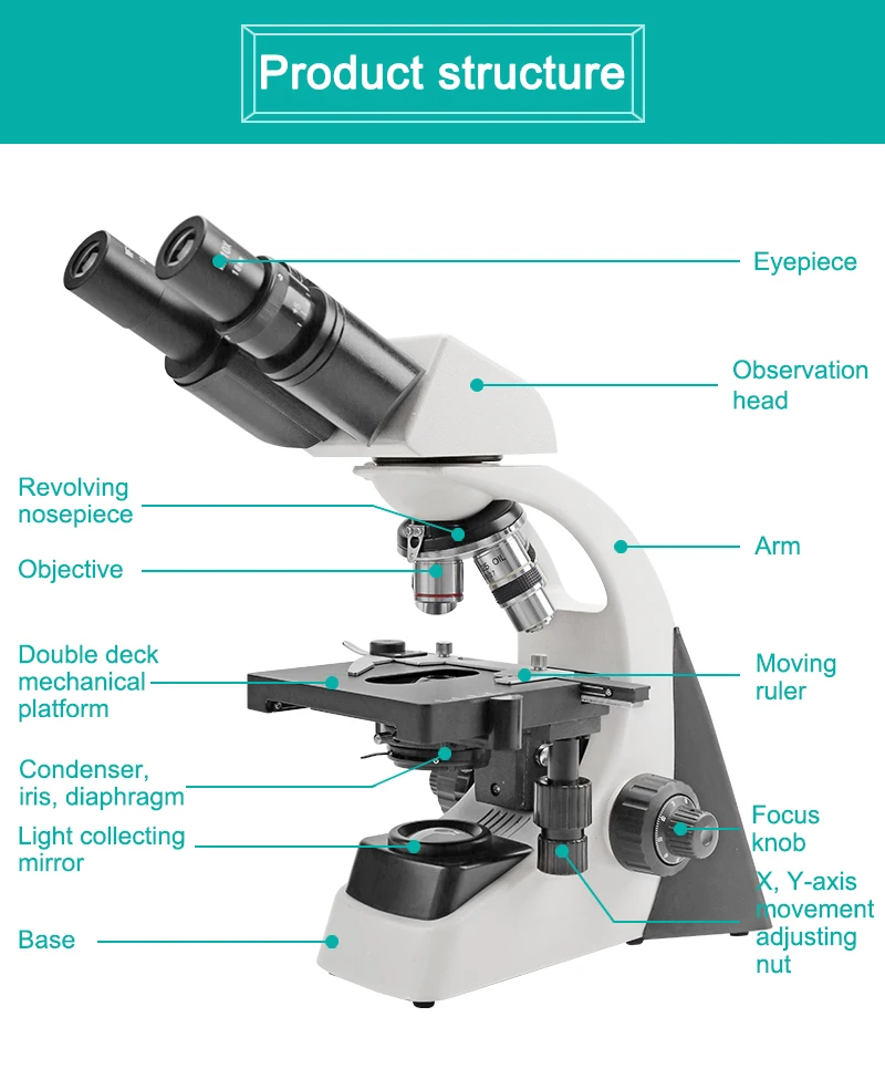 Lab equipment digital microscope 40X-1000X Zoom Binocular optical microscope laboratory binocular biological microscope