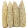 20-29CM