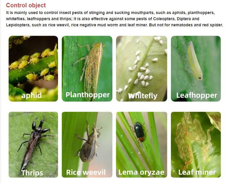 Spinosad Insecticide Uses