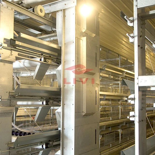 New Design Automatic Battery Cages Chicken Layer Poultry Cage System
