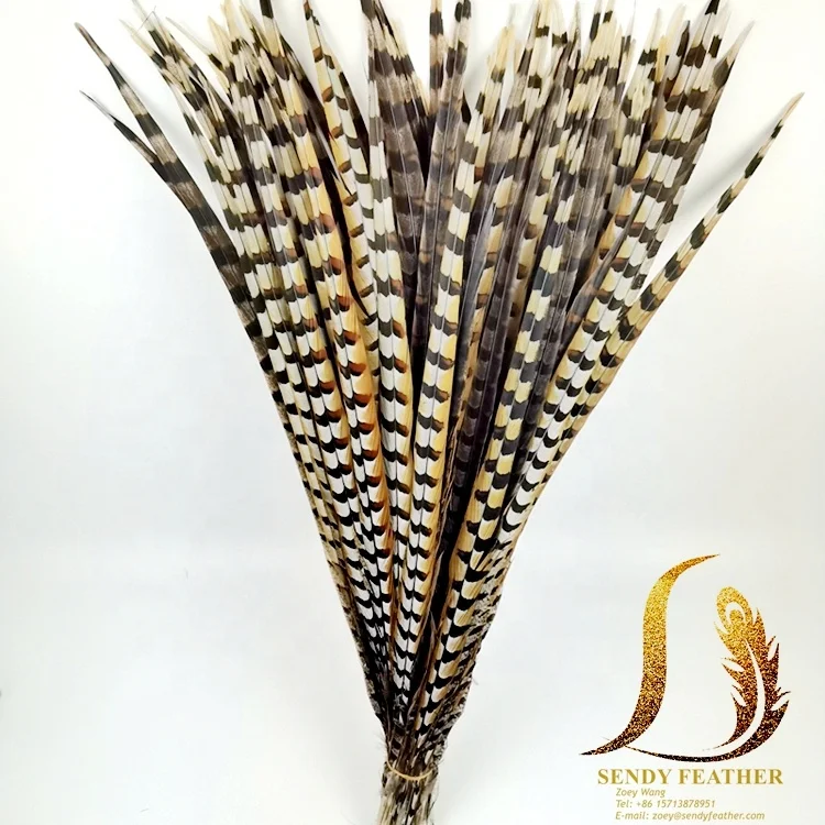 10 Pieces - 10-12 Natural Reeves Venery Pheasant Tail Feathers