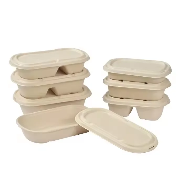 PFAS-Free 100% Compostable Disposable Takeaway Lunch Box with Lid 2 ...