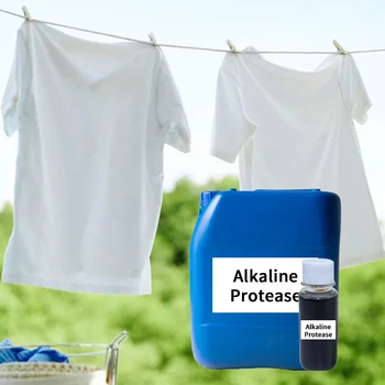 Detergent Enzymes liquid alkaline protease enzymes for detergent CAS 9014-01-1 Bioactive enzyme