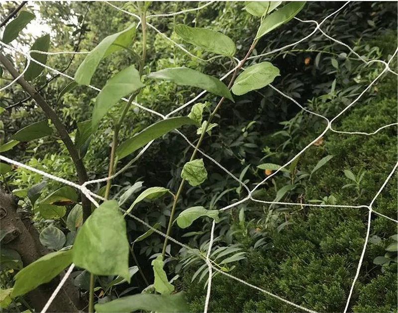 Сверхмощный сельское хозяйство ткань полиэстер нейлон шпалеры завода сетка для альпинистских