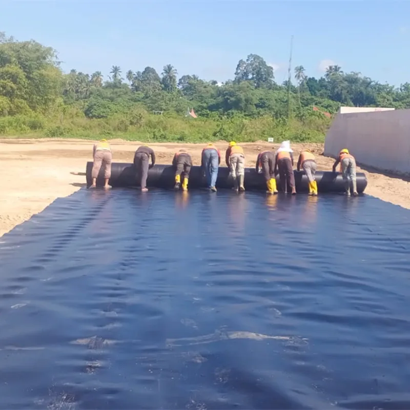 HDPE Geomembranes Fish Pond Liner 45 Mil Pools Landscaping Membrane Reinforced Gardens Geomembrana for Dam Liner
