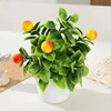 sweet orange