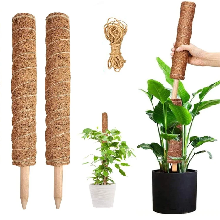 plant trellis small H Potter Geometric Garden Trellis Set of 3  1 Large 69" Tall & 2 Small  58"Tall